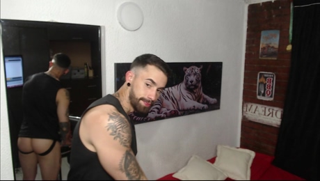 Tiagocameron  15-02-2022